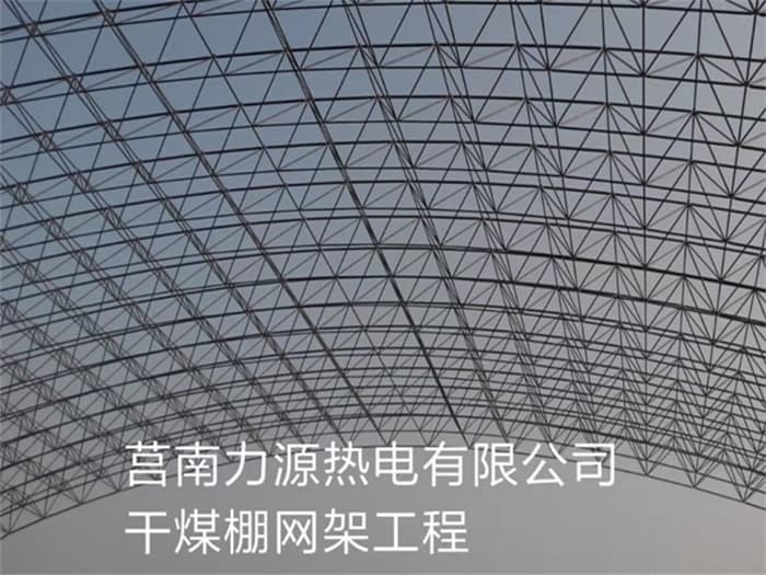 菏泽力源热电有限公司干煤棚网架工程